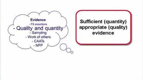 Thumbnail for Audit Evidence Aspects