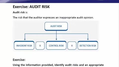 Thumbnail for Audit risk Murray Co Exercise