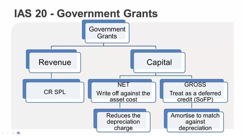 Thumbnail for IAS 20 Government Grants - Technical Recap