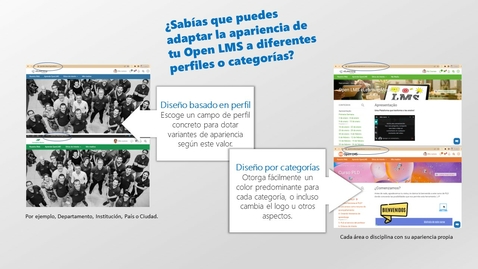 Miniatura para SNAP, un único theme y múltiples apariencias en una misma instancia