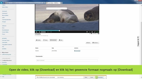Thumbnail for entry Een video downloadbaar maken
