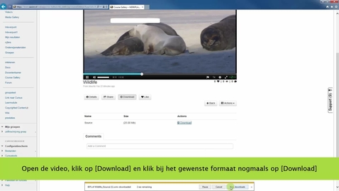 Thumbnail for Een video downloadbaar maken
