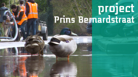 Thumbnail for Project Prins Bernardstraat - Praktijklab Civiele Techniek