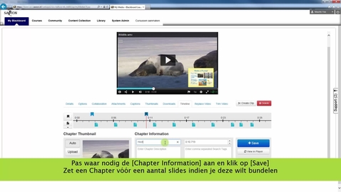 Thumbnail for Chapters en of slides aan een video toevoegen