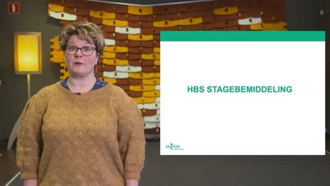 Thumbnail for entry HBS Kennisclip External Relations: Procedure bemiddeling stages (Nederlands)