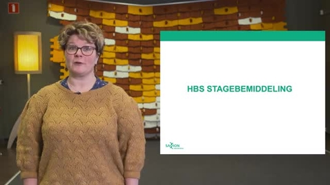 Thumbnail for HBS Kennisclip External Relations: Procedure bemiddeling stages (Nederlands)