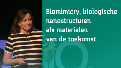 Thumbnail for entry Lydia Fraaije: Biomimicry, biologische nanostructuren als materialen van de toekomst