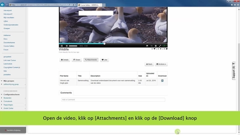 Thumbnail for Een bijlage aan je video toevoegen