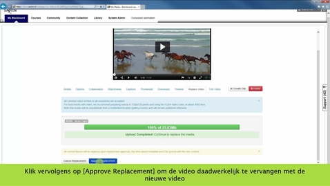 Thumbnail for Een video vervangen