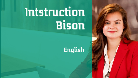 Thumbnail for Instruction Bison (English)