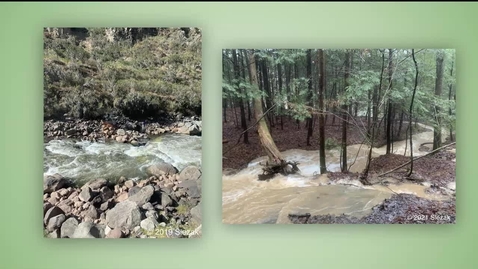 Thumbnail for 25388 - PureSip