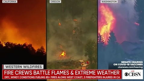 Thumbnail for 10191 - Forest Fighters