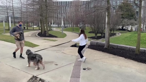 Thumbnail for 11582 - Pet Pocket