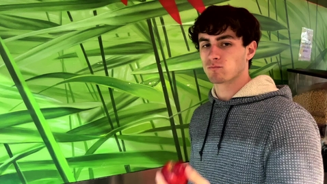 Thumbnail for 17066 - Balanced Diet