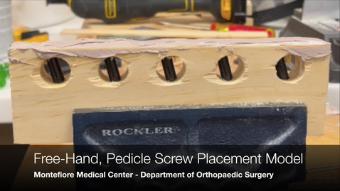 Thumbnail for Pedicle Screw Model