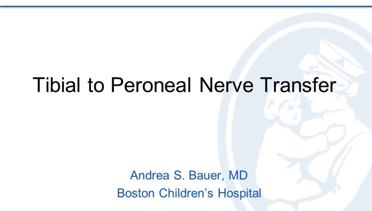 Tibial to Peroneal Nerve Transfer