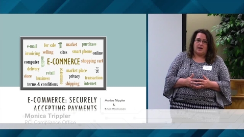 Thumbnail for E-Commerce: Securely Accepting Payment What You Need to Know – Trippler-Rasmussen