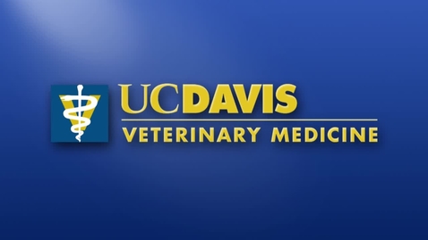 Thumbnail for entry 2014 Vet Med Commencement