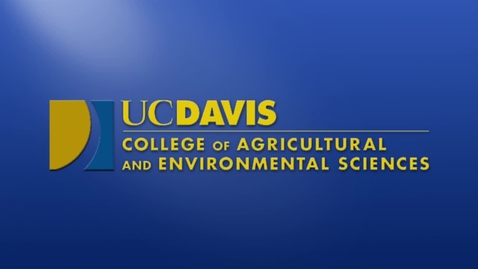 Thumbnail for 2014 CAES 9 am Commencement