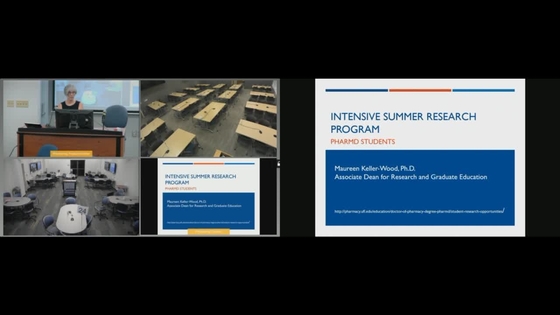 v entry Research Intensive Program Summer