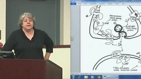 Thumbnail for Receptor Regulation