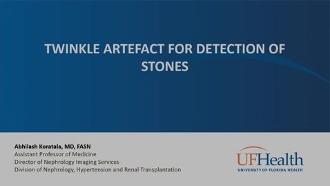 Thumbnail for Twinkle Artifact for Detection of Stones
