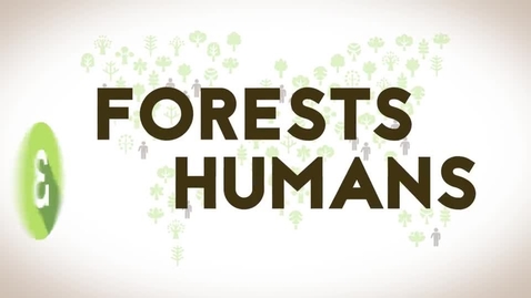 Thumbnail for entry 3.3 Forests and Climate Change