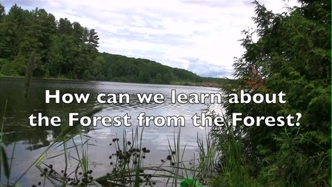 Thumbnail for Learning from the Forest