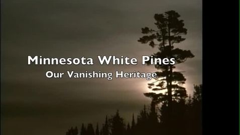 Thumbnail for entry Minnesota White Pine Story