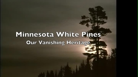 Thumbnail for Minnesota White Pine Story