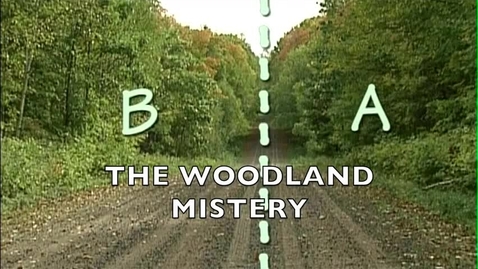 Thumbnail for The Woodland Mistery