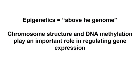 Thumbnail for entry Genetics 466 | Lecture #21A - Epigenetics
