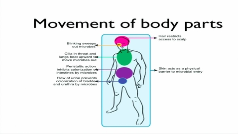 Thumbnail for entry Lecture 33 - Immunology - Innate Immunity