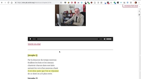 Thumbnail for hypothesis resizing issues