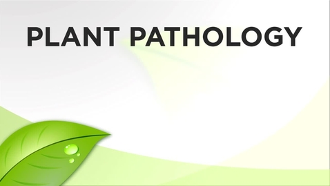 Thumbnail for 275547551.mp4