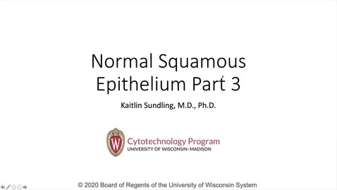 Thumbnail for Genetics 570 - Normal Squamous 3_final