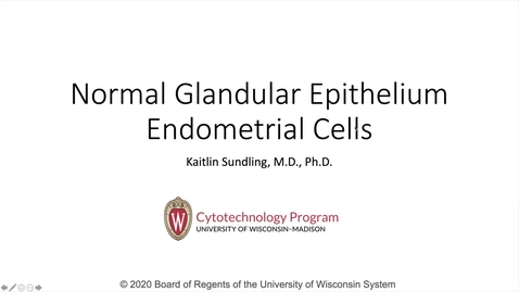 Thumbnail for Genetics 570 - Normal Endometrial_final