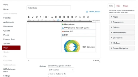 Thumbnail for LTI authorization screens