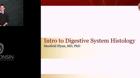 Thumbnail for Flynn - Intro to Digestive System Histology