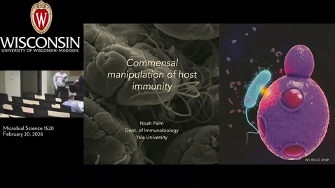 Thumbnail for Dr. Noah Palm Seminar 02/20/26