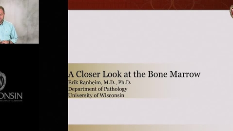 Thumbnail for A Closer Look at the Bone Marrow