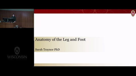 Thumbnail for entry [REC] Anatomy of the Leg and Foot