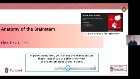 Thumbnail for entry Anatomy of the Brainstem