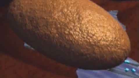 Thumbnail for Pine_6