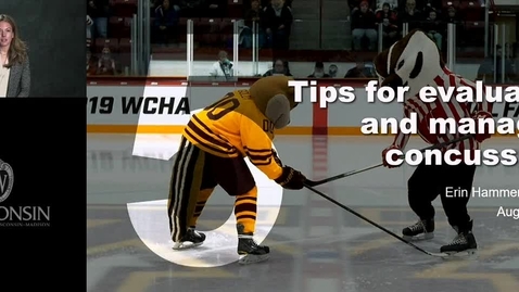 Thumbnail for Hammer - Sports Concussions