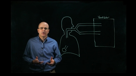 Thumbnail for Cattapan - SIMV