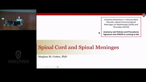 Thumbnail for Spinal Cord and Meninges