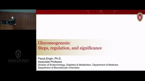 Thumbnail for Regulation of Gluconeogenesis