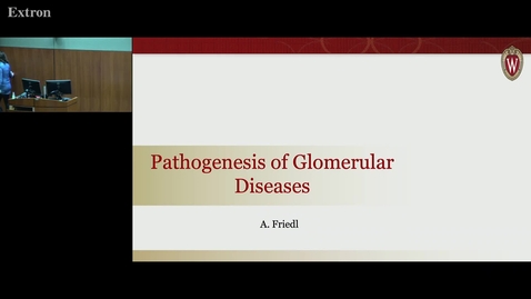 Thumbnail for Glomerular Pathogenesis - Nephrotic Nephritic Syndromes