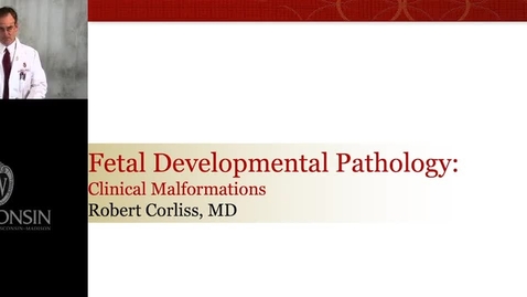 Thumbnail for 105783Fetal Development Pathology Clinical Malformations